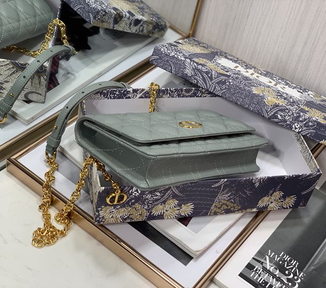 Dior original calfskin caro belt pouch S5091 gray