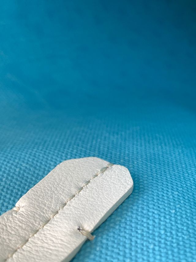 Goyard original canvas poitiers claire-voie bag GY0058 blue