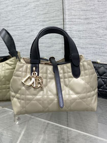 Dior original calfskin small toujours vertical tote bag M2835 apricot&black