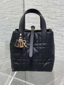Dior original calfskin small toujours vertical tote bag M2835 black