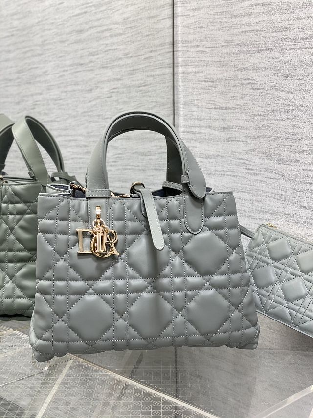 Dior original calfskin medium toujours bag M2821 stone grey