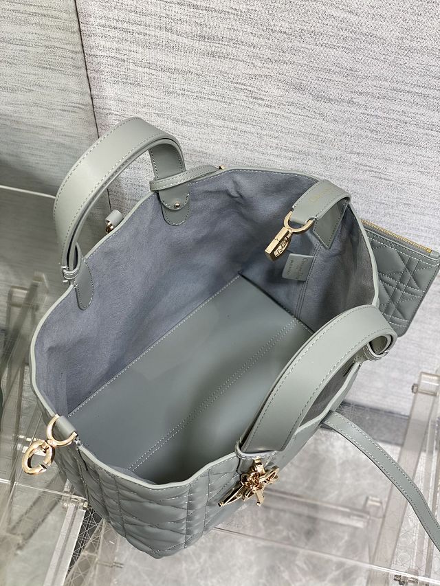Dior original calfskin medium toujours bag M2821 stone grey