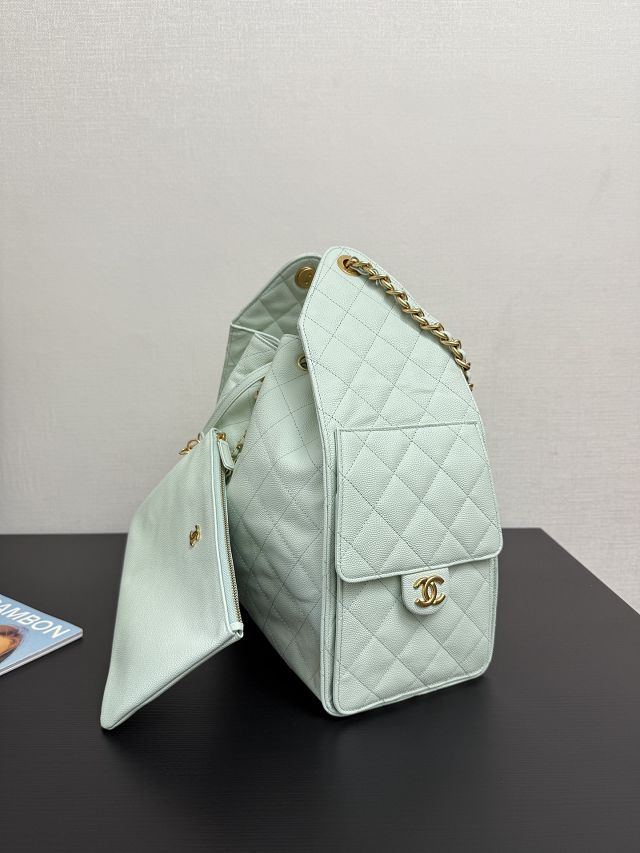 CC original grained calfskin 25 medium handbag AS5311 light green