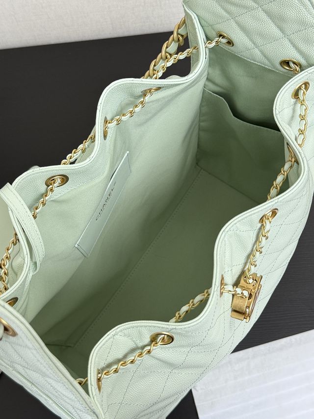 CC original grained calfskin 25 medium handbag AS5311 light green