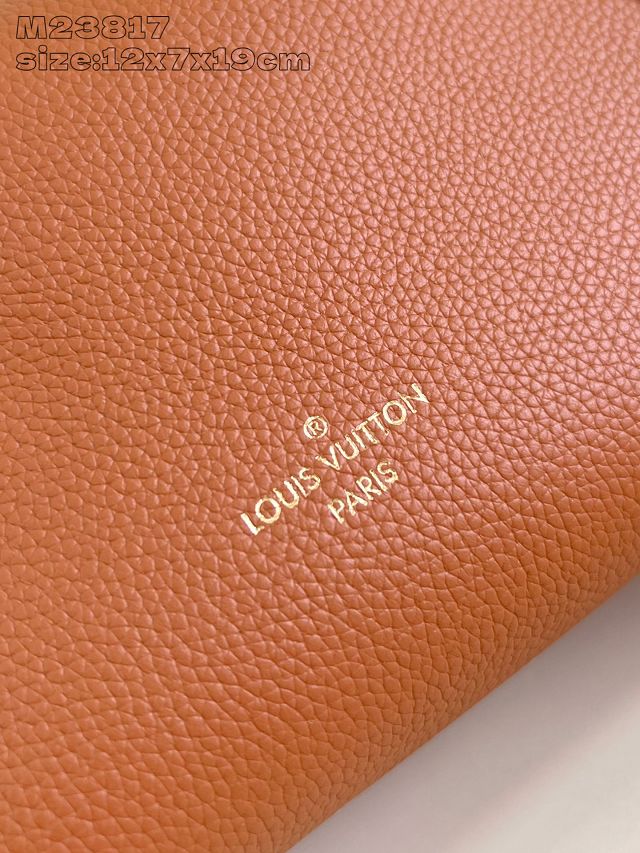 Louis vuitton original soft calfskin side trunk pm M15224 brown