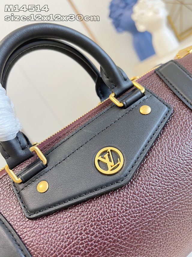 Louis vuitton original calfskin LV biker PM M14514 mahogany