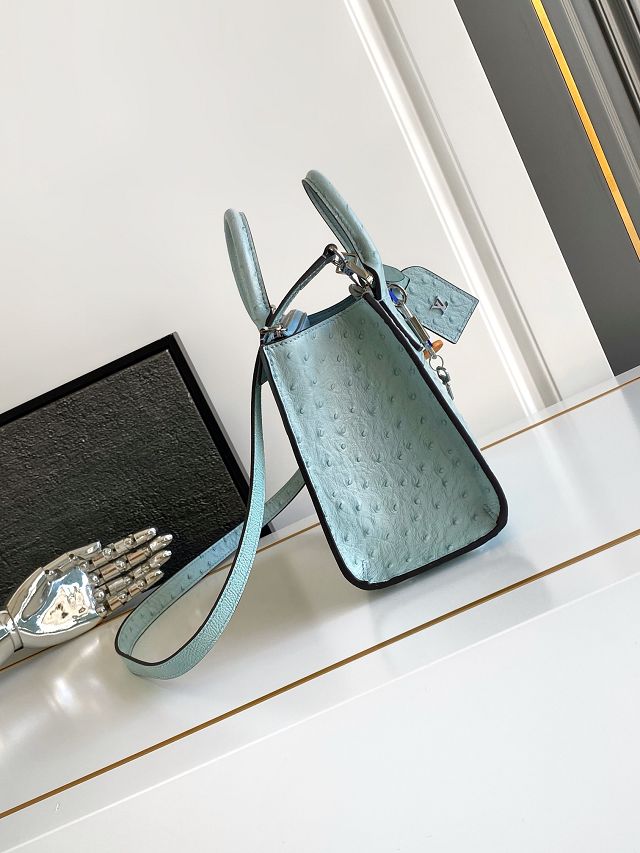 Louis vuitton original ostrich calfskin city steamer mini bag M85454 blue