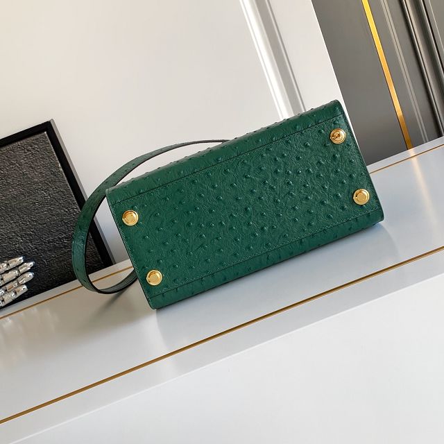 Louis vuitton original ostrich calfskin city steamer mm bag M84079 green