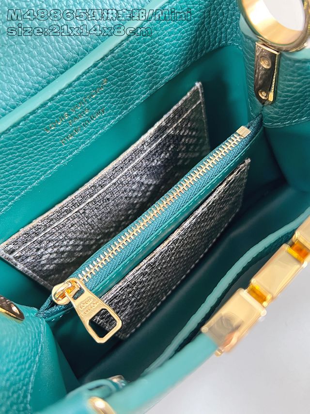Louis vuitton original calfskin capucines mini handbag N85517 green