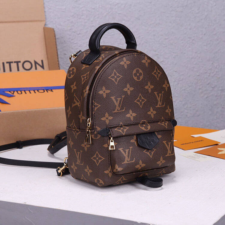 Replica LV Palm Springs Mini Backpack M44873 (3)