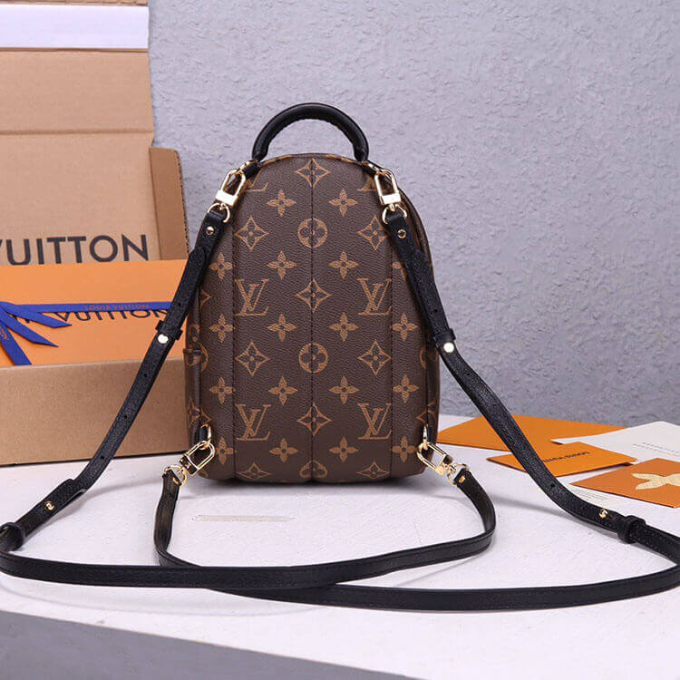 Replica LV Palm Springs Mini Backpack M44873 (4)
