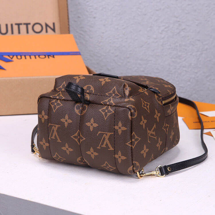 Replica LV Palm Springs Mini Backpack M44873 (5)