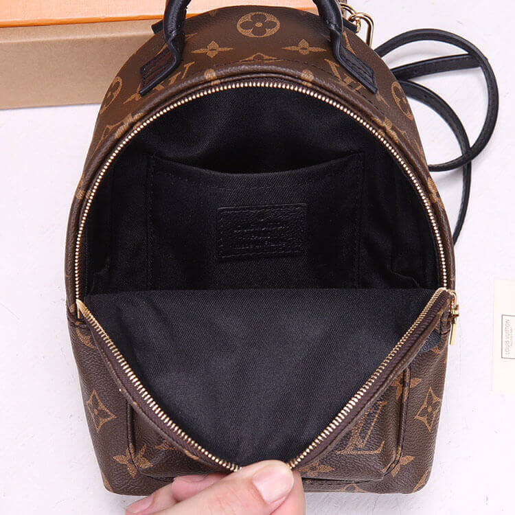 Replica LV Palm Springs Mini Backpack M44873 (6)